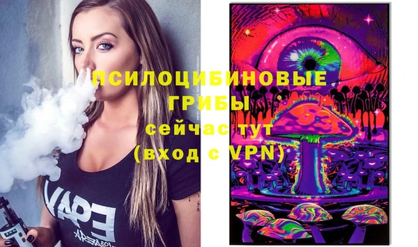 герыч Алексин