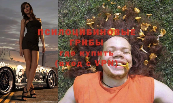 герыч Алексин