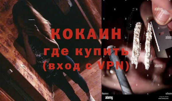 ГАЛЛЮЦИНОГЕННЫЕ ГРИБЫ Алексеевка