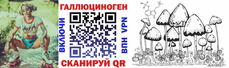 дарнет шоп  Омутнинск  Псилоцибиновые грибы GOLDEN TEACHER 
